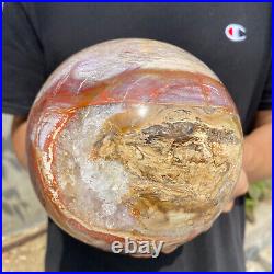 8.3lb Natural Petrified Wood fossil Quartz sphere Crystal Ball specimen Healing