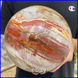 8.3lb Natural Petrified Wood fossil Quartz sphere Crystal Ball specimen Healing