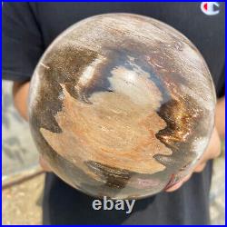 8.3lb Natural Petrified Wood fossil Quartz sphere Crystal Ball specimen Healing