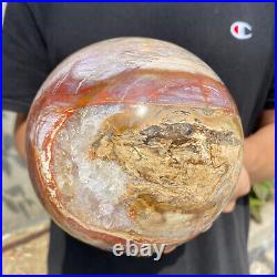 8.3lb Natural Petrified Wood fossil Quartz sphere Crystal Ball specimen Healing