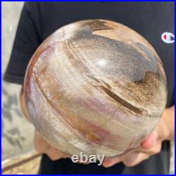 8.3lb Natural Petrified Wood fossil Quartz sphere Crystal Ball specimen Healing