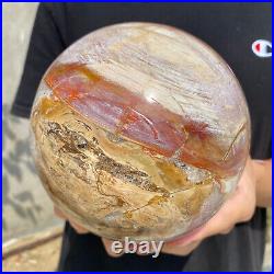 8.3lb Natural Petrified Wood fossil Quartz sphere Crystal Ball specimen Healing