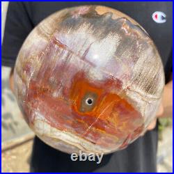 8.3lb Natural Petrified Wood fossil Quartz sphere Crystal Ball specimen Healing