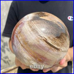 8.3lb Natural Petrified Wood fossil Quartz sphere Crystal Ball specimen Healing