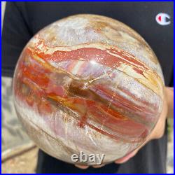 8.3lb Natural Petrified Wood fossil Quartz sphere Crystal Ball specimen Healing