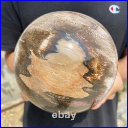 8.3lb Natural Petrified Wood fossil Quartz sphere Crystal Ball specimen Healing