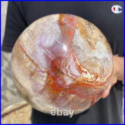 8.3lb Natural Petrified Wood fossil Quartz sphere Crystal Ball specimen Healing