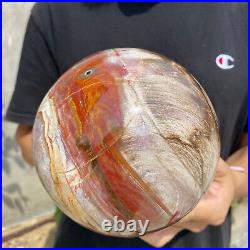 8.3lb Natural Petrified Wood fossil Quartz sphere Crystal Ball specimen Healing