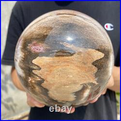 8.3lb Natural Petrified Wood fossil Quartz sphere Crystal Ball specimen Healing