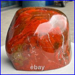 8.42LB Natural Fossil Petrified Wood Polished Freeform Crystal Mineral Healing 8.42LB Natural Fossil Petrified Wood Polished Freeform Crystal Mineral Healing