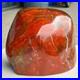 8_42LB_Natural_Fossil_Petrified_Wood_Polished_Freeform_Crystal_Mineral_Healing_01_xjp