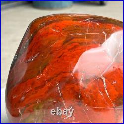 8.42LB Natural Fossil Petrified Wood Polished Freeform Crystal Mineral Healing 8.42LB Natural Fossil Petrified Wood Polished Freeform Crystal Mineral Healing