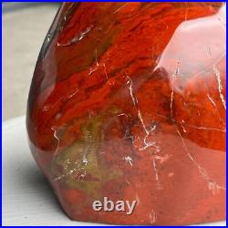 8.42LB Natural Fossil Petrified Wood Polished Freeform Crystal Mineral Healing 8.42LB Natural Fossil Petrified Wood Polished Freeform Crystal Mineral Healing