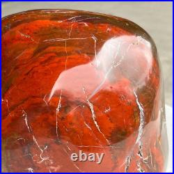 8.42LB Natural Fossil Petrified Wood Polished Freeform Crystal Mineral Healing 8.42LB Natural Fossil Petrified Wood Polished Freeform Crystal Mineral Healing