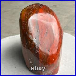 8.42LB Natural Fossil Petrified Wood Polished Freeform Crystal Mineral Healing 8.42LB Natural Fossil Petrified Wood Polished Freeform Crystal Mineral Healing