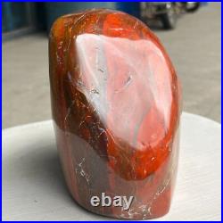 8.42LB Natural Fossil Petrified Wood Polished Freeform Crystal Mineral Healing 8.42LB Natural Fossil Petrified Wood Polished Freeform Crystal Mineral Healing