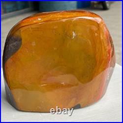 8.42LB Natural Fossil Petrified Wood Polished Freeform Crystal Mineral Healing 8.42LB Natural Fossil Petrified Wood Polished Freeform Crystal Mineral Healing