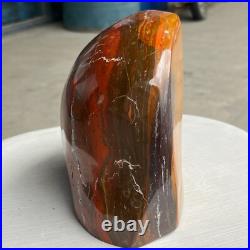 8.42LB Natural Fossil Petrified Wood Polished Freeform Crystal Mineral Healing 8.42LB Natural Fossil Petrified Wood Polished Freeform Crystal Mineral Healing