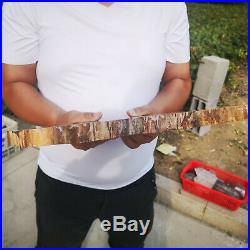 8.44LB Natural Petrified Wood Fossil Crystal Polished Slice Madagascar