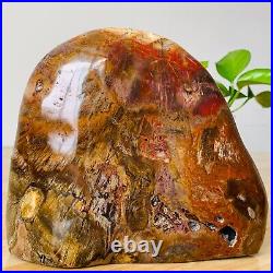 8.48lb Large Natural Petrified Wood Crystal Fossil Mineral Specimen Healing