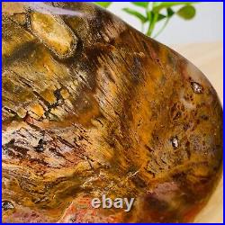 8.48lb Large Natural Petrified Wood Crystal Fossil Mineral Specimen Healing