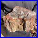 8_4LB_Rare_Natural_petrified_wood_rough_Wood_fossil_mineral_specimen_healing_01_oi