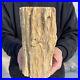 8_4lb_Rare_Natural_petrified_wood_rough_Wood_fossil_mineral_specimen_healing_01_fu