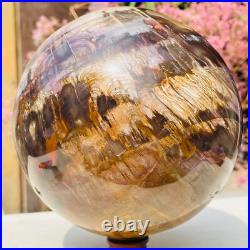 8.57lb Large Jade Natural Petrified Wood Crystal Fossil Sphere Ball Specimen 8.57lb Large Jade Natural Petrified Wood Crystal Fossil Sphere Ball Specimen