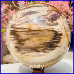 8.57lb Large Jade Natural Petrified Wood Crystal Fossil Sphere Ball Specimen 8.57lb Large Jade Natural Petrified Wood Crystal Fossil Sphere Ball Specimen
