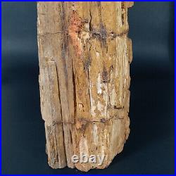 8.5 Polished PETRIFIED WOOD BRANCH Fossil Madagascar A2359