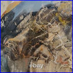 8.5lb Large Sliced Black Petrified Wood Tan Bark Natural Fossil Mineral Specimen