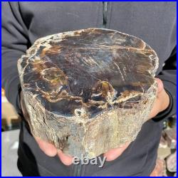 8.6LB Natural petrified wood rough Wood fossil mineral specimen healing energy 8.6LB Natural petrified wood rough Wood fossil mineral specimen healing energy