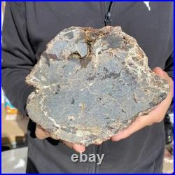 8.6LB Natural petrified wood rough Wood fossil mineral specimen healing energy 8.6LB Natural petrified wood rough Wood fossil mineral specimen healing energy