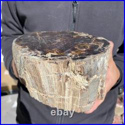 8.6LB Natural petrified wood rough Wood fossil mineral specimen healing energy 8.6LB Natural petrified wood rough Wood fossil mineral specimen healing energy