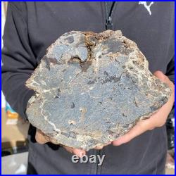 8.6LB Natural petrified wood rough Wood fossil mineral specimen healing energy 8.6LB Natural petrified wood rough Wood fossil mineral specimen healing energy