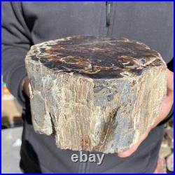 8.6LB Natural petrified wood rough Wood fossil mineral specimen healing energy 8.6LB Natural petrified wood rough Wood fossil mineral specimen healing energy