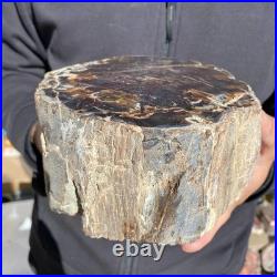 8.6LB Natural petrified wood rough Wood fossil mineral specimen healing energy 8.6LB Natural petrified wood rough Wood fossil mineral specimen healing energy