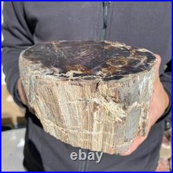 8.6LB Natural petrified wood rough Wood fossil mineral specimen healing energy 8.6LB Natural petrified wood rough Wood fossil mineral specimen healing energy