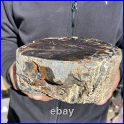 8.6LB Natural petrified wood rough Wood fossil mineral specimen healing energy 8.6LB Natural petrified wood rough Wood fossil mineral specimen healing energy