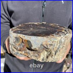 8.6LB Natural petrified wood rough Wood fossil mineral specimen healing energy 8.6LB Natural petrified wood rough Wood fossil mineral specimen healing energy