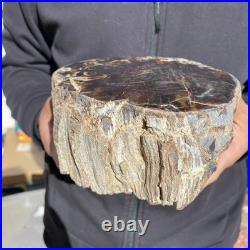 8.6LB Natural petrified wood rough Wood fossil mineral specimen healing energy 8.6LB Natural petrified wood rough Wood fossil mineral specimen healing energy