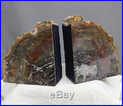 8.6 Beautiful Petrified Wood Bookends Arakaria Fossil Wood Bookend Slabs, Ptw95