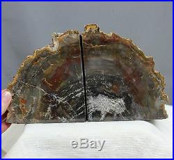 8.6 Beautiful Petrified Wood Bookends Arakaria Fossil Wood Bookend Slabs, Ptw95
