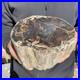8_6lb_Rare_Natural_petrified_wood_rough_Wood_fossil_mineral_specimen_healing_01_ft