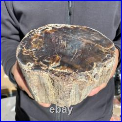 8.6lb Rare Natural petrified wood rough Wood fossil mineral specimen healing 8.6lb Rare Natural petrified wood rough Wood fossil mineral specimen healing