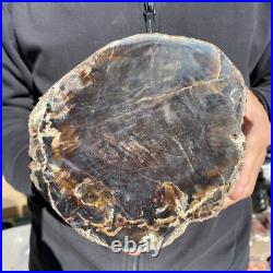 8.6lb Rare Natural petrified wood rough Wood fossil mineral specimen healing 8.6lb Rare Natural petrified wood rough Wood fossil mineral specimen healing