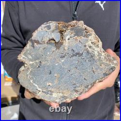 8.6lb Rare Natural petrified wood rough Wood fossil mineral specimen healing 8.6lb Rare Natural petrified wood rough Wood fossil mineral specimen healing