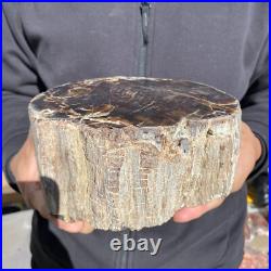 8.6lb Rare Natural petrified wood rough Wood fossil mineral specimen healing 8.6lb Rare Natural petrified wood rough Wood fossil mineral specimen healing
