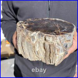 8.6lb Rare Natural petrified wood rough Wood fossil mineral specimen healing 8.6lb Rare Natural petrified wood rough Wood fossil mineral specimen healing