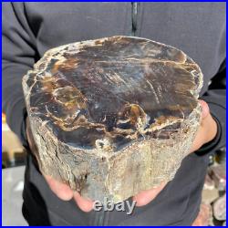8.6lb Rare Natural petrified wood rough Wood fossil mineral specimen healing 8.6lb Rare Natural petrified wood rough Wood fossil mineral specimen healing